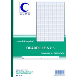 ELVE Manifold quadrillé...